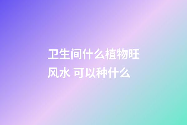 卫生间什么植物旺风水 可以种什么